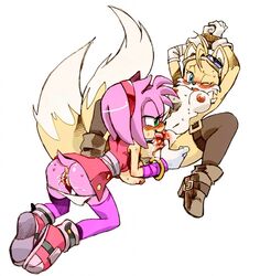 amy rose from sega by twistedterra