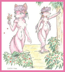 2002 anthro archie_comics canine female furry leeta_wolf lyco_wolf mammal nude reddragonkan sega sonic_(series) wolf