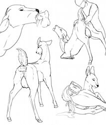 2014 anal anal_sex anus ass backlash91 black_nose breasts cervine cum cum_in_ass cum_in_mouth cum_inside cum_on_anus cum_on_ass cum_on_pussy deer disembodied_penis english_text fellatio female feral feral_penetrated fisting human interspecies looking_at_viewer looking_back lying male open_mouth oral oral_sex penetration penis plain_background pussy raised_tail sex sign smile standing text tongue tongue_out vaginal_fisting vaginal_penetration white_background zoophilia