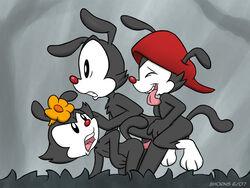 2007 8horns animaniacs dot_warner flower from_behind_position incest male/female sex straight trio wakko_warner yakko_warner