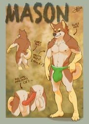 anthro balls big_penis bulge canine english_text erection flaccid fur furry green_eyes hyper hyper_penis knot male male_only mammal mason_(suck_mcjones) model_sheet penis shiba_inu solo suck_mcjones text underwear underwear_only