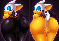rouge the bat from sega by shadman