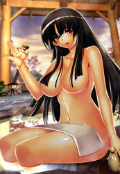 alcohol black_hair blush breasts censored convenient_censoring hair_over_breasts hi_res high_resolution highres hiyohiyo large_breasts nude onsen queen's_blade sakazuki sake sitting tomoe towel