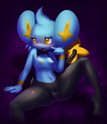 elpatrixf female furry nintendo no_humans pokemon pokephilia pose pussy shinx solo video_games