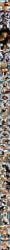 ai_assisted ai_generated anal_sex assault bangs bdsm big_breasts big_penis blonde_hair breasts_bigger_than_head brown_skin casual casual_exposure casual_nudity cleavage clothed_female_nude_female clothed_female_nude_male comic covered_in_cum cum cum_drip cum_in_ass cum_in_mouth cum_on_face cum_on_floor cumshot cumshot_in_mouth cunnilingus dildo dildo_in_ass dominant dominant_female dominant_male eating_pussy facing_another female_on_male female_penetrating_male female_supporting_yaoi femdom fishnet_legwear fishnets flashing_breasts foot_fetish foot_focus foot_lick footwear fully_clothed girl_on_girl glasses gloved_handjob gloves groping groping_breasts handjob high_heels holding_penis huge_breasts huge_cock humiliation indoors kalifa kalifa_(one_piece) large_breasts large_penis latex latex_clothing legs_spread licking_foot licking_pussy male_penetrated micropenis mistress monkey_d_luffy nami_(one_piece) nico_robin nipples one_piece partially_clothed pegging presenting_ass presenting_pussy public public_exposure public_nudity roronoa_zoro sanji seductive short_hair sissification sissy skirt slave small_penis small_penis_humiliation spandam speech_bubble steam stepped_on stepping_on_head stockings story strap-on strapon submissive_female submissive_male sussychan sweat talking_to_another talking_to_viewer teasing text tight_clothing tiny_penis undressing wardrobe_malfunction wet