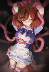 nice nature (umamusume) from umamusume