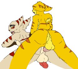 Ratchet (Ratchet And Clank) Rule 34 Image