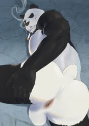1boy animal_ears anus armpit_hair ass bara beastars biceps black_fur cigarette completely_nude fangs furry furry_male gouhin grin highres looking_at_viewer male_focus multicolored_fur muscular muscular_male nagick_18 nude panda_boy panda_ears panda_tail scar scar_across_eye scar_on_cheek scar_on_face smile smoke smoking spread_ass testicles white_fur