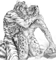 anthro blotch feline fur furry furry_only leopard male male_only mammal multiple_males no_humans snow_leopard tiger yaoi