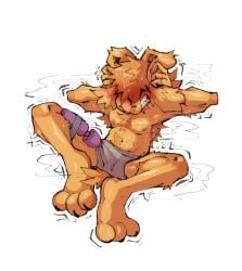 3_toes a_guy_somewhere anthro barefoot blush bodily_fluids clenched_teeth clothed clothing convenient_censorship desperation ear_grab edging erection erection_under_clothing feet frustrated fur genitals grabbing_both_ears guy_(a_guy_somewhere) hair hair_covering_breasts hi_res lagomorph leporid male male_anthro mammal musk musk_cloud obstructed_eyes orange_body orange_fur orgasm_denial penile penis rabbit sex_toy simple_background sitting solo sweat teasing teeth tenting toes underwear underwear_only vibrator vibrator_on_penis wand_vibrator white_background