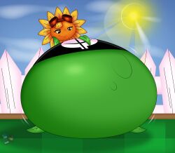 anthro anthrofied ass belly belly_bulge breasts fancy_blue female female_pred flora_fauna hyper plant plant_girl plant_humanoid plantie plants_vs._zombies plants_vs_zombies popcap_games pred solar_flare_(pvz) sunflower_(pvz) text vore vore_belly