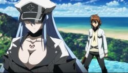 1boy1girl akame_ga_kill! big_breasts blue_hair breasts cleavage esdeath_(akame_ga_kill!) hat hidden_eyes long_hair neutral_expression screenshot tatsumi_(akame_ga_kill!)