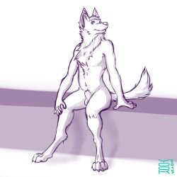 1:1 2015 animal_genitalia anthro balls blue_eyes canid cheek_tuft chest_tuft dated facial_tuft fully_sheathed genitals head_tuft hi_res male mammal mouth_closed neck_tuft nude partially_colored sheath sitting solo tuft yookie
