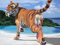 3d all_fours animal_genitalia balls big_balls big_penis feline feral looking_at_viewer male male_only mammal penis presenting raised_tail solo tagme tapiko tiger