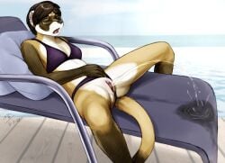 anthro bikini black-footed_ferret bodily_fluids bottomless casual_urination chair clothed clothing domestic_ferret ear_piercing ear_ring eyewear female furniture genital_fluids genitals glasses lounge lounge_chair mammal moody_(moodyferret) moodyferret mustelid musteline outside peeing piercing pool public_urination pussy ring_piercing solo spread_legs spreading swimwear true_musteline two-piece_swimsuit urine urine_stream watersports weasel