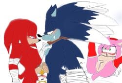 amy_rose amy_rose_(boom) balls blue_fur bluechika blush colored cum female furry hedgehog knuckles_the_echidna male mammal orgasm penis pussy rubbing sega sonic_(series) sonic_boom sonic_the_hedgehog sonic_the_werehog sonic_unleashed tails team_sonic werehog yaoi