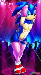 sonic the hedgehog from sega by shadman
