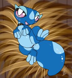 2026 absurd_res animal_genitalia bedroom_eyes blue_body blush cloaca cloacal collar female feral game_freak gecko gecqua generation_10_pokemon genitals hi_res lizard looking_at_viewer lying miori narrowed_eyes nintendo on_back open_mouth pink_eyes pokemon pokemon_(species) pokemon_ww presenting reptile scalie seducing_viewer seductive shikaro smile smiling_at_viewer solo spread_legs spreading tail thick_tail