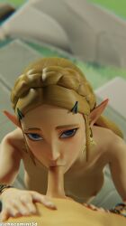 3d big_penis chocomint3d light-skinned_female light-skinned_male light_skin nintendo outdoors penis princess_zelda source_request sucking_penis the_legend_of_zelda the_legend_of_zelda:_breath_of_the_wild wholesome zelda_(breath_of_the_wild)