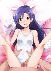 animal_ears bed blue_hair blush breasts brown_eyes cat_ears cat_paws censored collarbone female highres human idolmaster kaiga kisaragi_chihaya legs legs_up long_hair looking_at_viewer lying male open_mouth penis pov pubic_hair purple_hair pussy sex small_breasts straight sweat swimsuit tail thighs vaginal_penetration