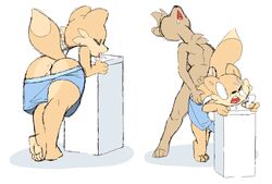 anthro anus bent_over buttjob canine chest_tuft clothes fur furry male male_only mammal penis precum raised_tail saliva shorts tuft wardrobe_malfunction water_fountain xylas