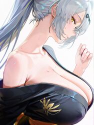 yixuan (zenless zone zero) from zenless zone zero