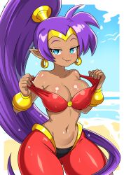 shantae (character) from shantae by theoiledone