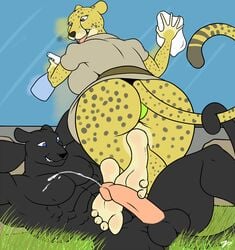 anthro ass balls cheetah clothed clothing cum cumshot feline female foot_fetish footjob furry grass male mammal muscles nude orgasm panther panties penis underwear window window_cleaner zookeeper zp92