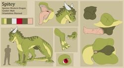 animal_genitalia anus balls claws dragon english_text erection fangs feral fersir flaccid flared_penis green_skin horn horsecock knot male male_only model_sheet nude penis red_eyes sheath size_difference solo text toe_claws tongue tongue_out vein western_dragon