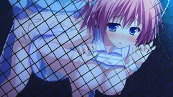 aki_suzuka blue_eyes blush breasts game_cg glace koishiki_manual nipples pink_hair saeki_nao sex shirt_lift