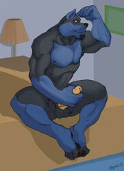 2007 anthro azaghal balls canine erection fur furry male male_only mammal penis solo wolf