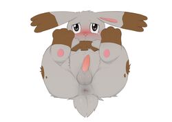 2014 3_toes anus ass balls barefoot blush bunnelby crying cute dreiker erection feral fur hand_on_stomach hi_res high_resolution highres lagomorph long_ears looking_at_viewer lying male male_only mammal nintendo nude on_back on_floor pawpads paws penis pokemon presenting presenting_hindquarters rabbit raised_leg solo tears video_games