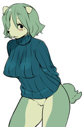 agemono animal_ears black_eyes blush bottomless breasts female fur furry green_hair hair_over_one_eye large_breasts mole original ribbed_sweater short_hair solo sweater tail wanko_(agemono)