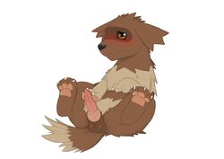 1boy 2014 3_toes barefoot blush canine cute dreiker erection fur furry hi_res high_resolution highres knot male male_only mammal nintendo nude pawpads paws penis pokemon raised_leg solo spread_legs spreading veins veiny_penis video_games zigzagoon