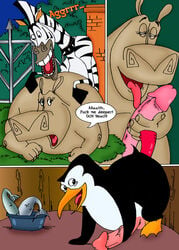 comic dreamworks furry furry_only gay gloria_the_hippopotamus madagascar_(film) madagascar_(series) male marty_the_zebra no_humans skipper