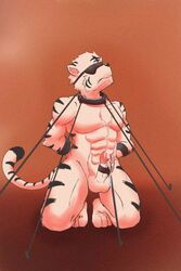 anthro bondage bound feline fur furry furry_only gay kerestan male mammal no_humans tiger