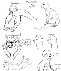 2014 3_toes angry anus ass backlash91 claws english_text female hi_res high_resolution highres looking_back monochrome mura mustelid nude otter plain_background presenting presenting_hindquarters presenting_pussy pussy sketch text toe_claws white_background