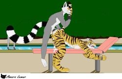 amara_lemur anal anal_sex anthro bondage bound feline forced fur furry furry_only gay lemur male mammal ms_paint penetration pool poolside precum primate rape rape_face ringtail ringtailed_lemur stripes swimming_pool tail_grab tiger