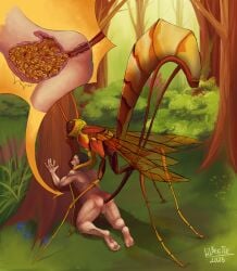 absurd_res anal anal_sex arthropod balls bodily_fluids bulge crying duo egg egg_inflation egg_insertion female female_penetrating feral forced forest genital_fluids genitals hi_res human hymenopteran ichneumon_wasp inflatable inflation insects lil_beetle male male/female male_penetrated mammal oviposition ovipositor paws penetration plant rape sex snuff stomach_bulge tears tree wasp x-ray_view