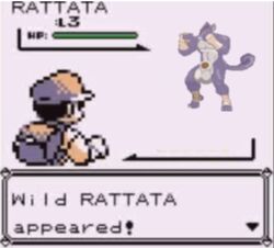 anthro balls big_balls eye_patch eyewear fur furry huge_balls huge_cock human hyper hyper_balls interspecies male mammal meme mouse nintendo penis pokemon pokemon_battle pokemon_trainer rattata sagat video_games wraps