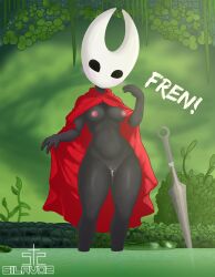 hornet (hollow knight) from hollow knight by silavos
