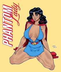 phantom lady (dc) from dc by captainsmutty