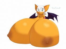 rouge the bat from sega by totesfleisch8