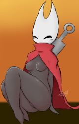 hornet (hollow knight) from hollow knight by luci star