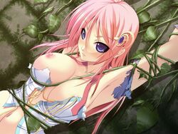 princess shadi federia from himegari dungeon meister
