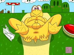 1boy anthro anus balls blush clothing exhibitionism feet flag foreskin furry furry_male furry_only genitals grass hi_res jackfex koopa koopa_troopa lying male male_only mario_(series) nintendo nude nude_male on_back penis plant purple_eyes red_shell reptile scalie shell shirt sky solo solo_focus solo_male spread_anus spreading tank_top topwear yellow_body yellow_skin