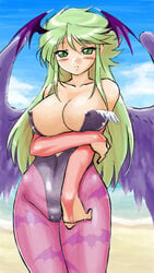 1girl 1girls bat_wings blush breath_of_fire breath_of_fire_ii cleavage clothing cosplay darkstalkers dr.p elbow_gloves erect_nipples erect_nipples_under_clothes green_eyes green_hair hair_between_eyes large_breasts leotard light-skinned_female long_hair lowres medium_breasts morrigan_aensland_(cosplay) nina_(breath_of_fire_ii) video_games wide_hips