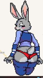 judy hopps from wplace
