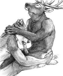 anthro antlers blotch canine cervine deer elk fellatio fur furry interspecies male male_only mammal monochrome multiple_males nude oral penis side_view sitting tongue wolf yaoi