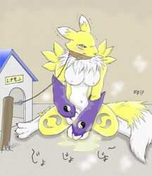 black_nose black_sclera blue_eyes blush breasts chest_tuft claws collar digimon doghouse female femsub fur gloves leash navel nipples peeing post renamon shivering tears tuft urine watersports white_fur yellow_fur yin_yang